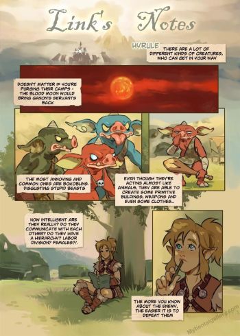 Link's Notes
